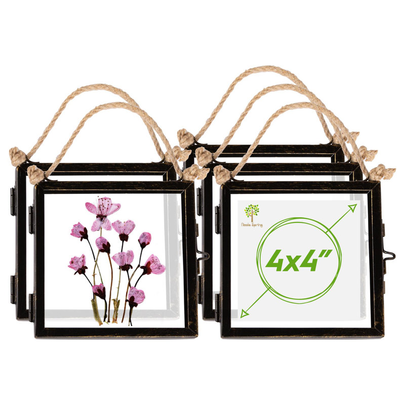Nicola Spring - Hanging Metal Photo Frames- Black, Rectangle, 4" x 4", 5