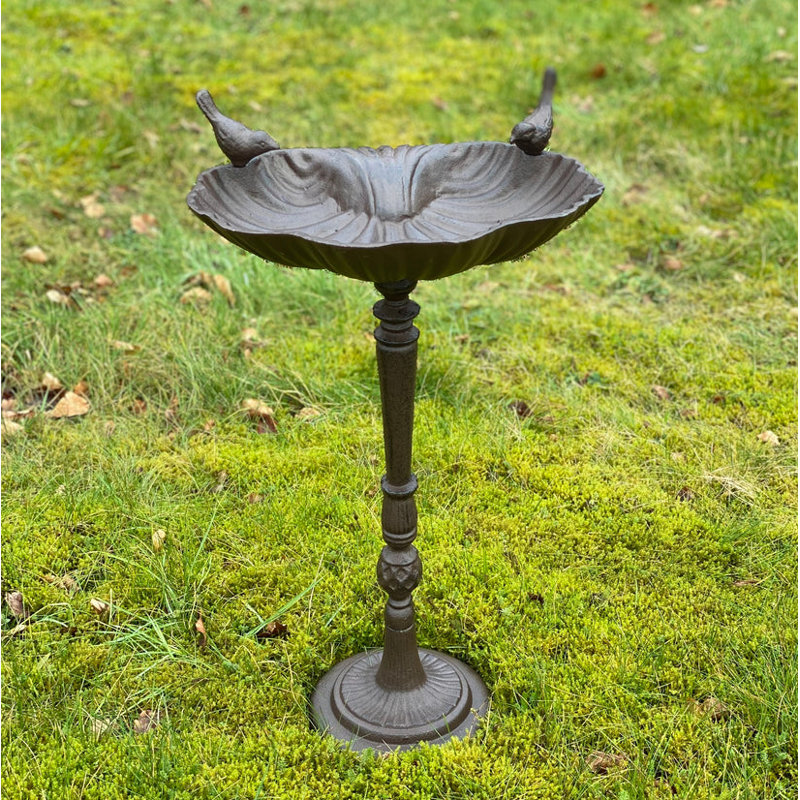 Tulane Metal Pedestal Birdbath