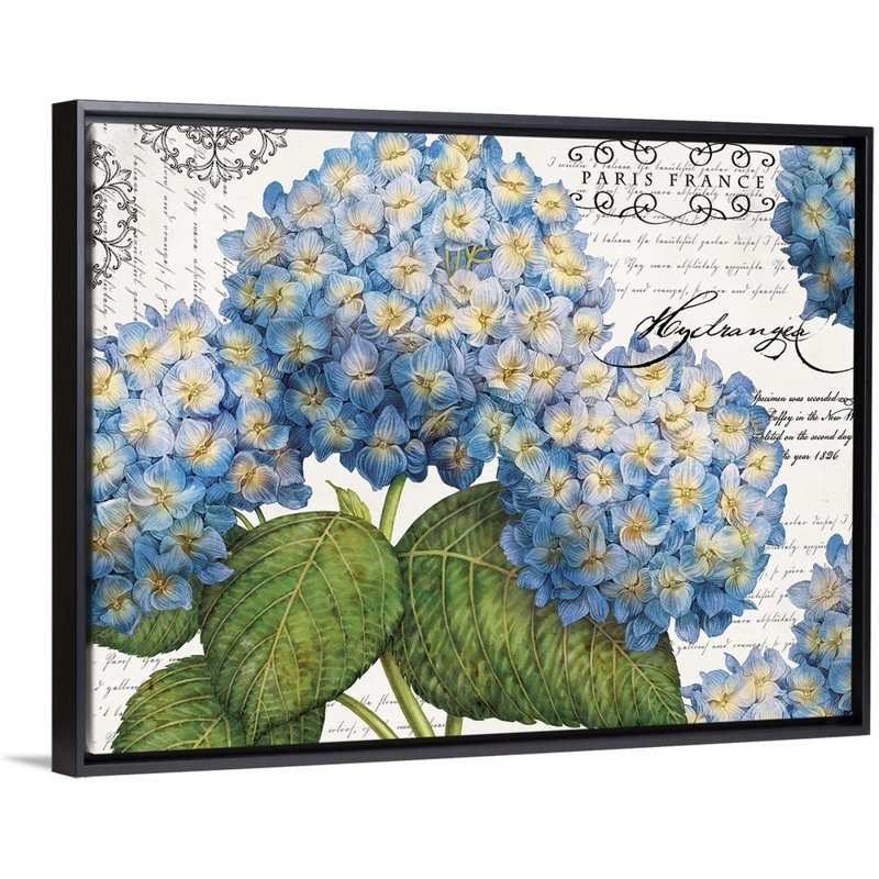 Art mural sur toile botanique, Toile avec cadre noir, H 30 po x l 40 po x P 1,75 po