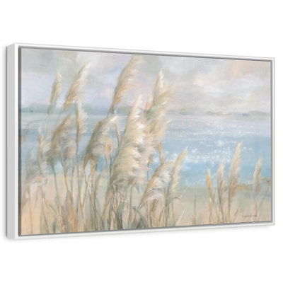 Seaside Pampas Grass