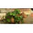 Elsaid Statue Planter