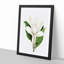 White Southern Magnolia Flower by Pierre-Joseph Redoute - Picture Frame Art Prints-55612681-55612682