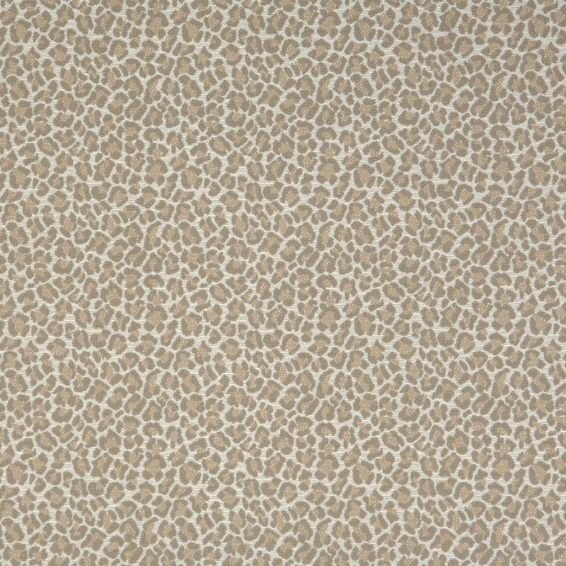 Mélange de coton Paish