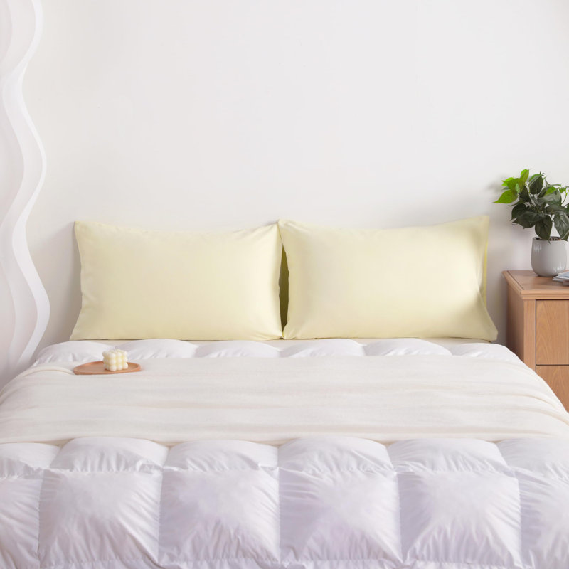 Taies d'oreiller en microfibre brossée Easy Care, Beige, Taie d’oreiller standard