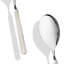 Fantasia Risotto Spoon-39022398