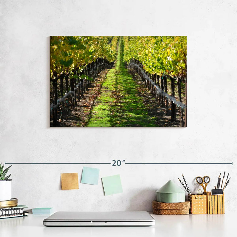 Yarlin Napa Valley Vineyard, H 8 po x l 12 po