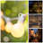 Beeston Outdoor 50 - Bulb 50'' Plug-in Globe String Light-581123034