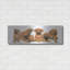«Rhodisian Ridgeback Puppies» par Barbara Keith-213022227