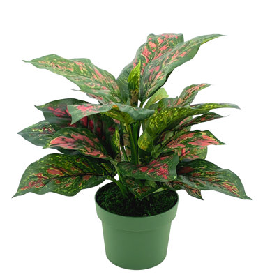 Faux Pink & Green Dieffenbachia