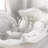 Regina Andrew Magnolia Objet (White)