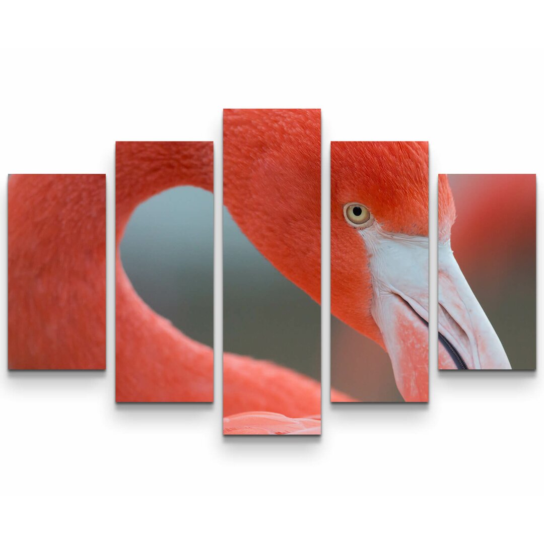 5-tlg. Leinwandbilder-Set Flamingo