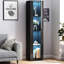Armoire latérale noire avec lampe vibrante à bande en aluminium - Grand espace de rangement créé l 40 x P 29 x H 170 cm 48,18 lb Spacieux et fini