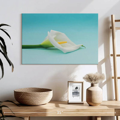 Harnek Calla Lily Bloom