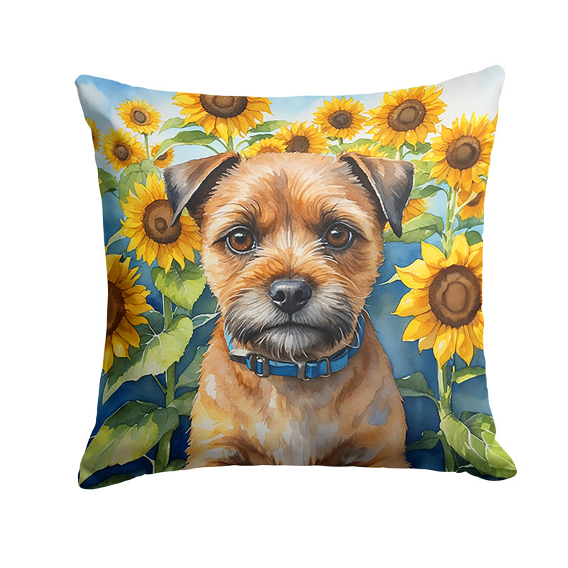 Coussin décoratif intérieur / extérieur Autre / Sans motif, H 14 po x l 14 po
