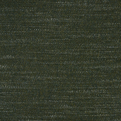 Tissu en laine Schumacher x Patterson Flynn