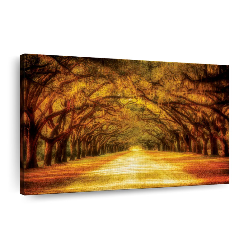 Route de chêne sur toile, H 30 po x l 20 po x P 1,25 po