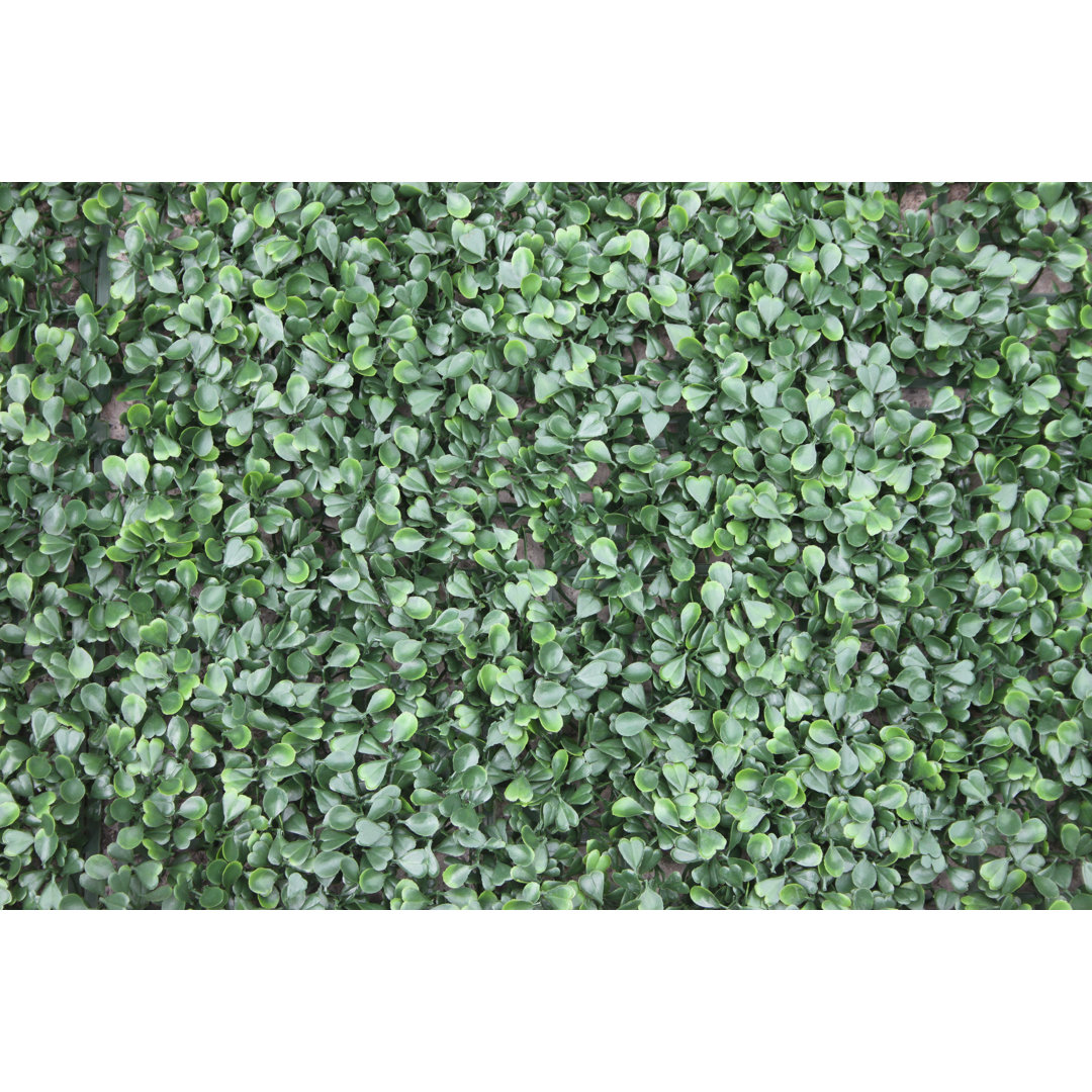Annalicia 100cm Artificial Hedge