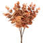 Buisson d'eucalyptus d'automne 20 po-128538650