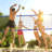 VEVOR Volleyball with Carrying Case-93718524