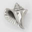 2" Conch Shell Knob-39948744