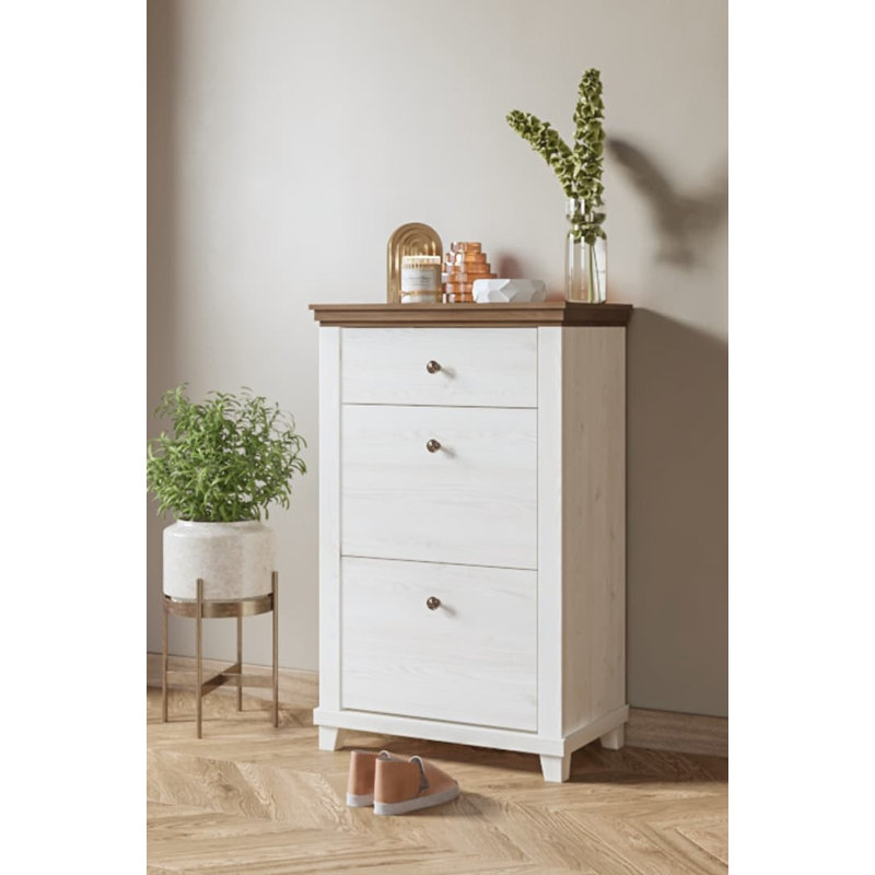 Cannady 28 Pair Shoe Storage Cabinet, Ash