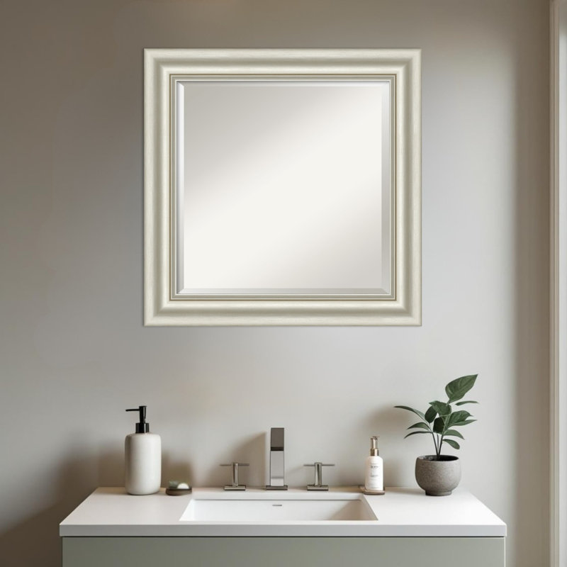 Miroir mural de salle de bain Sophia, Argent argent, 25,5 po x 21,5 po
