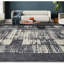 Area Rug in Silver