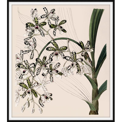 Frond Fountains 1 Print by Art House Studios
