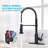 AlenArtWater Pull Down Kitchen Faucet