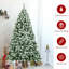 Arbre de Noël vert / blanc 6 'H