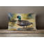 American Black Duck Throw Pillow