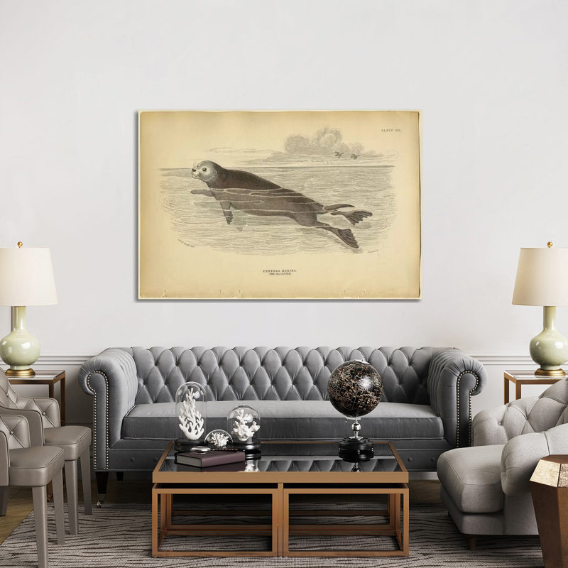 Sea Otter by PI Collection - Wrapped Canvas Panoramic Print, 152.5 cm H x 101.5 cm W