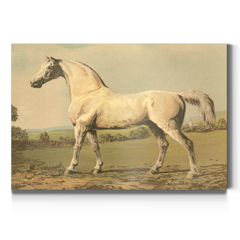 «Cassells Thoroughbred II», reproduction d'art sur toile, H 12 po x l 8 po x P 1 po
