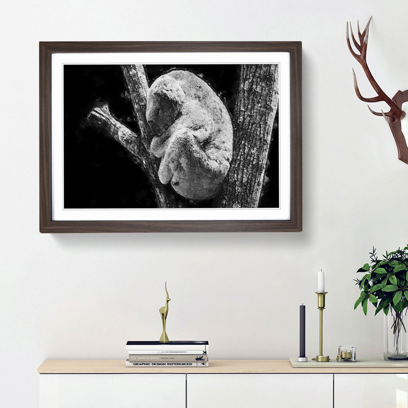 Koala Bear Resting in a Tree - Picture Frame Photograph Print, Walnut Framed, 36cm H x 48cm W x 2cm D
