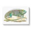 Iguana by George Shaw - Wrapped Canvas-55304314