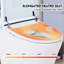 Toilette avec siège chauffant - chasse double 1 / 1,28, capteur de pied, nuit, structure intelligente sans siège de bidet, chasse pratique