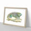 Iguana by George Shaw - Framed Print-55642040-55642044