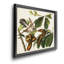 «Pl 2 Yellow Billing Cuckoo» - Cadre photo, impression sur toile-150290966-150290965