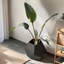 Table d'appoint 25,98 po-1904634218