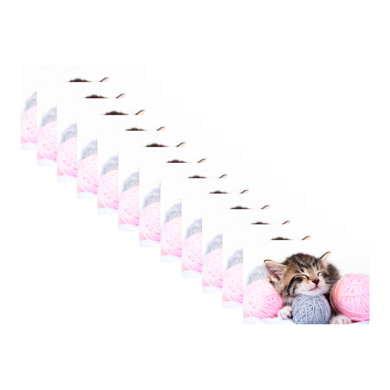 Napperon en plastique chaton avec fil - ensemble de 12