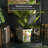 Diandrea Handmade Ceramic Pot Planter-289754449