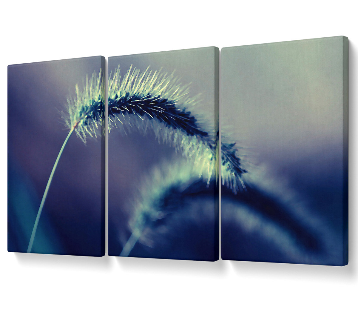 Ebern Designs Spikelets Macro - 3 Piece Wrapped Canvas Graphic Art ...