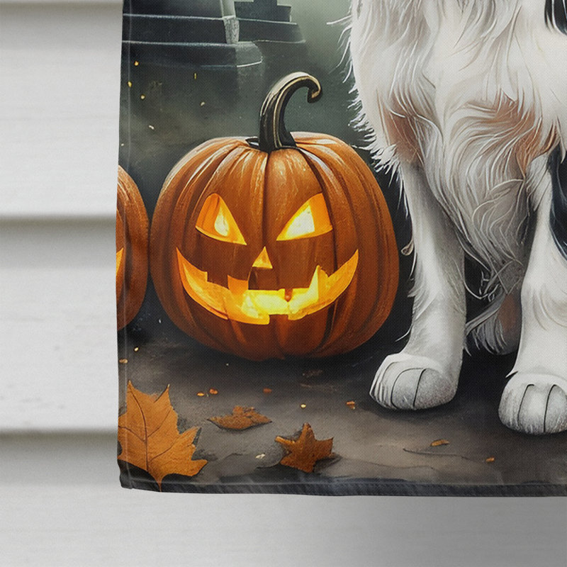 Double Sided 40'' H x 28'' W Polyester Halloween House Flag