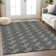  Maliana Area Rug