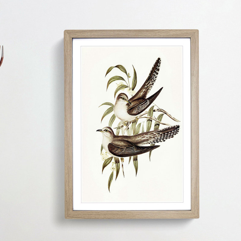 Unadorned Cuckoos by Elizabeth Gould - Picture Frame Painting Print, Oak Framed, 36cm H x 27cm W x 2cm D