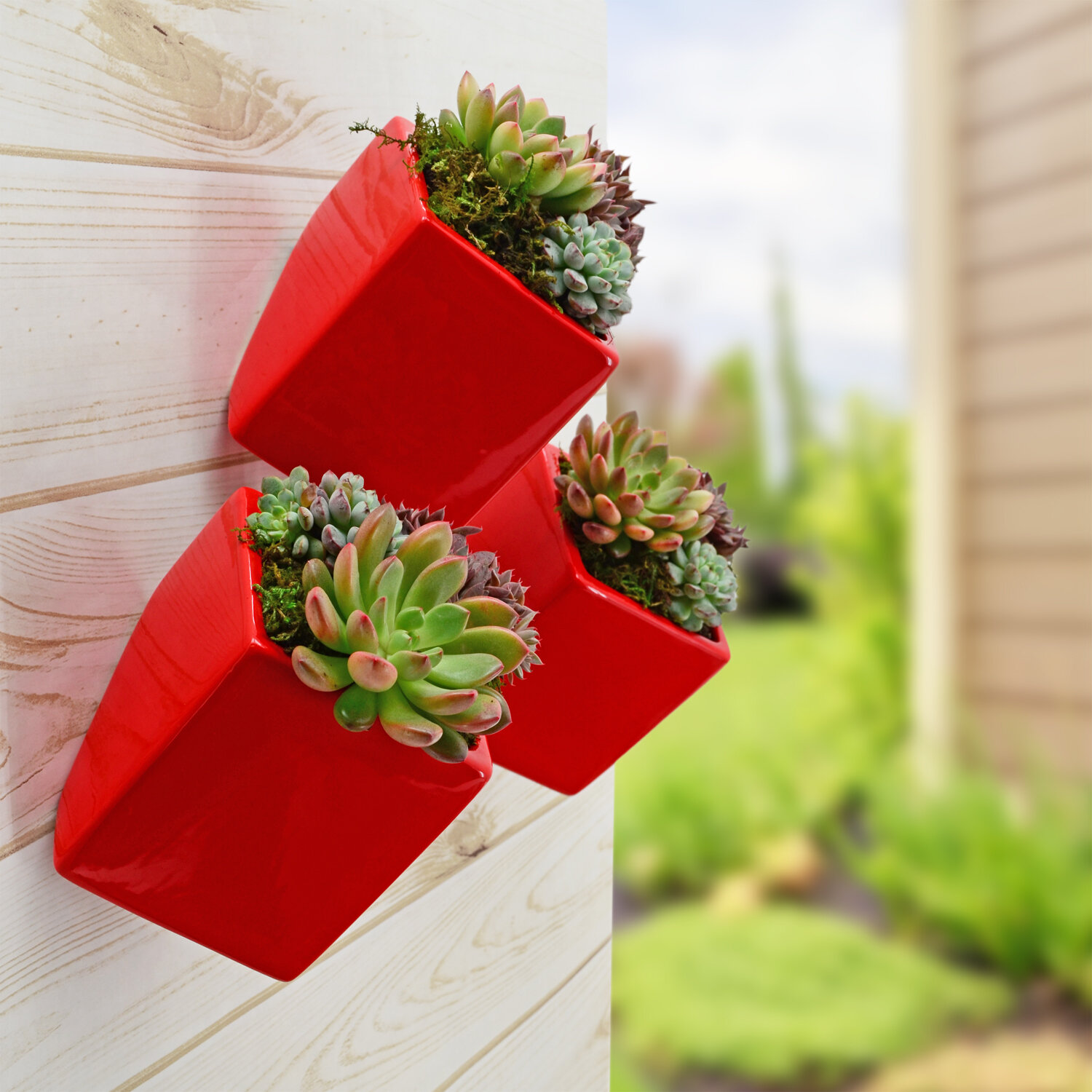 Red Flower Ceramic Wooden Hooks