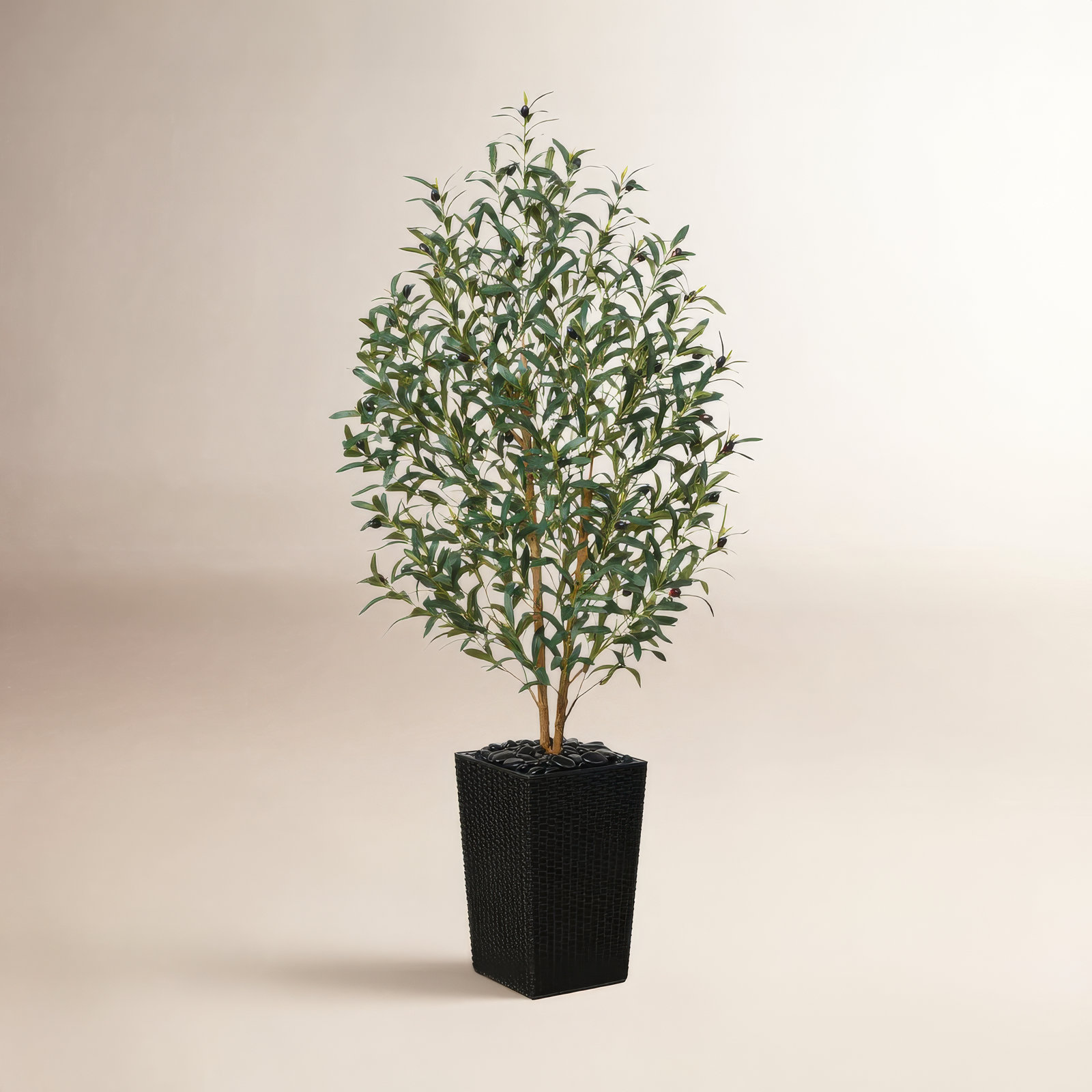 George 72" Olive Tree in Decorative Vase, Black, 60" H x 20" W x 20" D