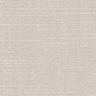 Sumptuous Beige Chenille