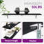 55 "Cipolla pour mur 10" x P 55 "l ensemble de 2, nuage nuage / marbre noir-1985077089-2006012933