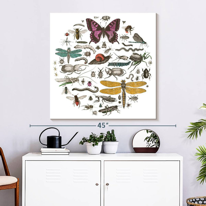 Brampt Insect Circle II Bright, 33" H x 33" W